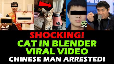 There was a video uploaded to YouTube where a person put a cat in a blender and tortured the thing to its assumed demise. . Man puts cat in blender arrested